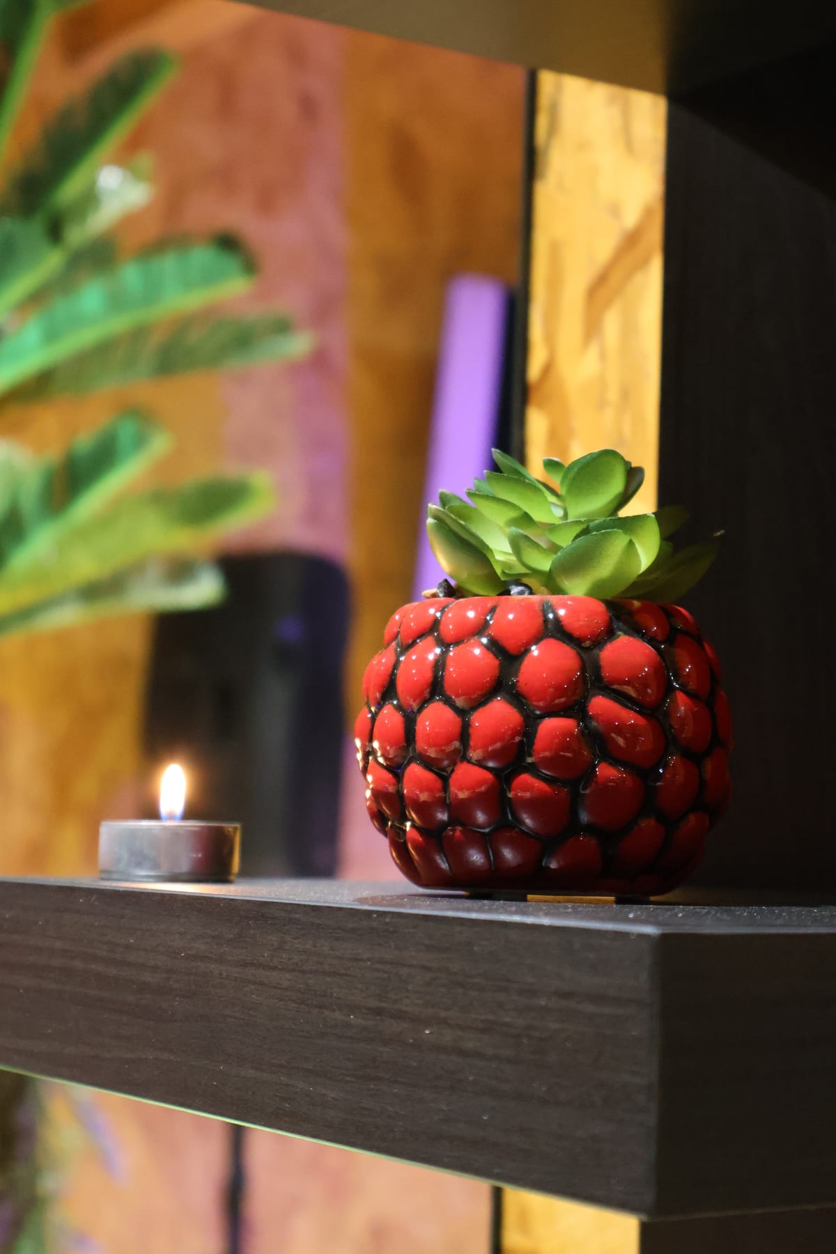 Vaso decorativo com suculenta